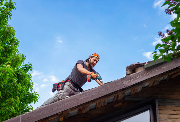 Waterproofing in Lopezville, TX