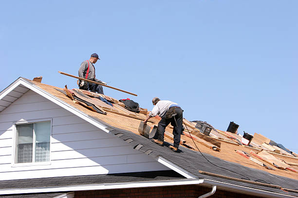 Reliable Lopezville, TX Roofing servicies Solutions